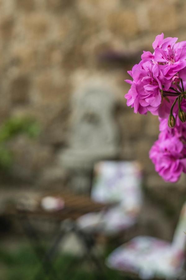 B&B Etruscan Garden Sutri Exterior foto
